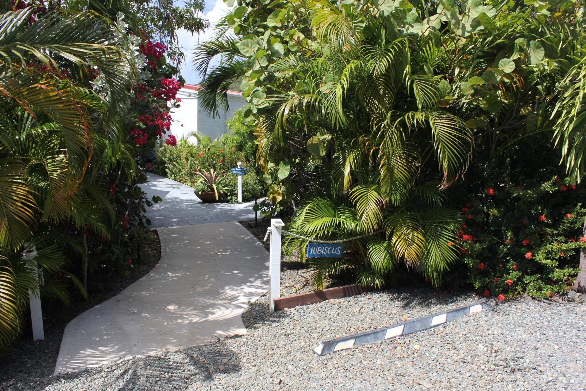 Beautiful Honeymoon Suite At Sunset Serenade Cruz Bay Eksteriør billede